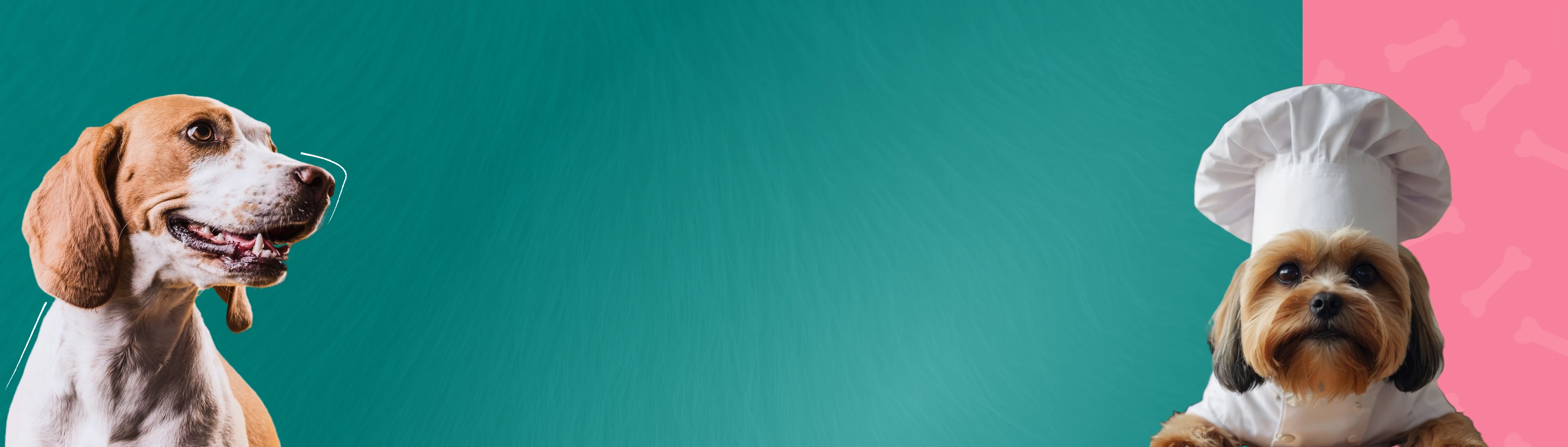 <span style="font-family: 'Brown Cake'; text-shadow: 3px 1px 4px rgb(0 0 0 / 12%); letter-spacing: 1px !important;">Let's <span style="color:#FDFF80; font-family: 'Brown Cake';">Customize</span> Your Dog's Meal</span>