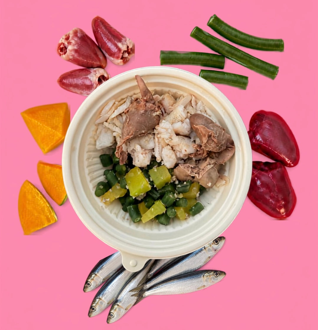 Purrfect Ocean Fish & Chicken Bowl