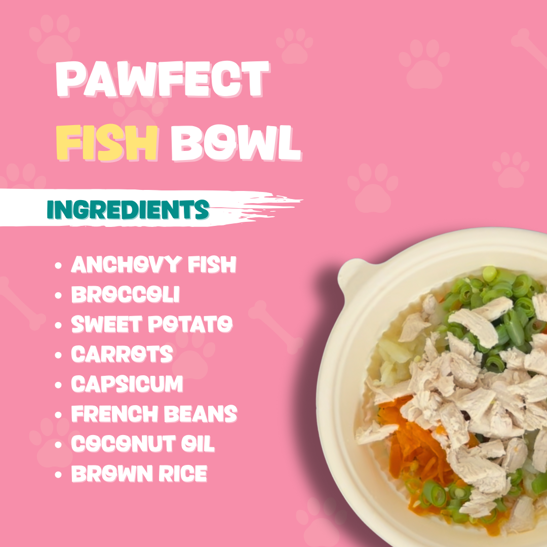 Pawfect Fish Bowl